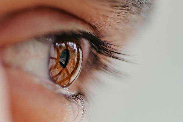 großes braunes Auge schaut beobachtend in den Raum