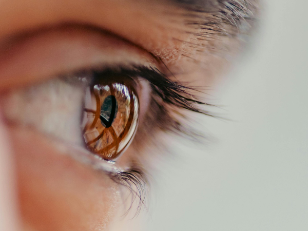 großes braunes Auge schaut beobachtend in den Raum